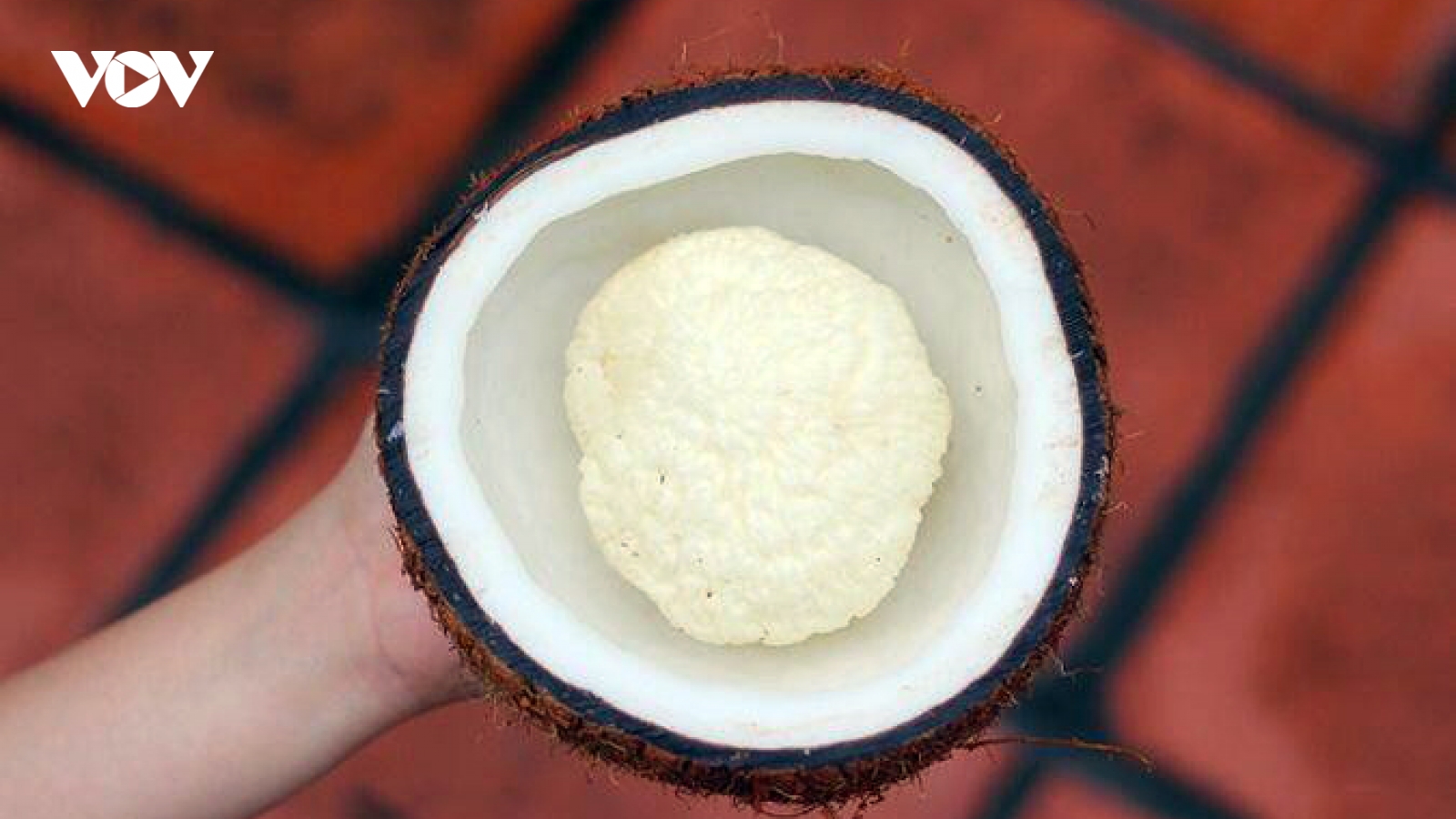 Đặc sản “bí mật” bên trong trái dừa có giá đắt đỏ