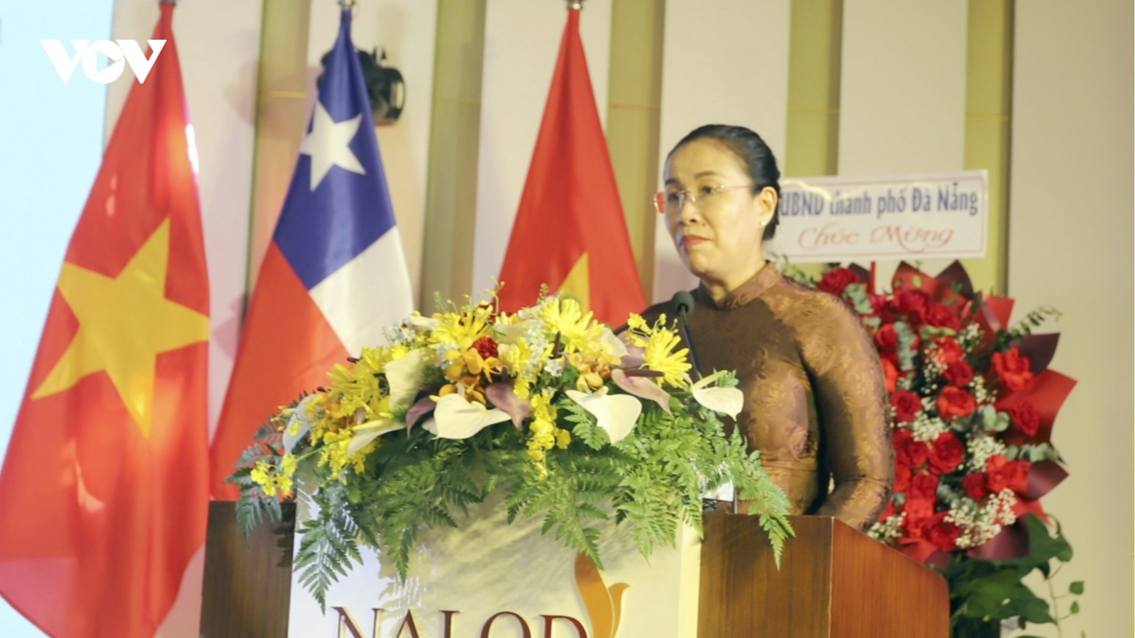 Da Nang steps up investment and trade promotion with Chilean partners