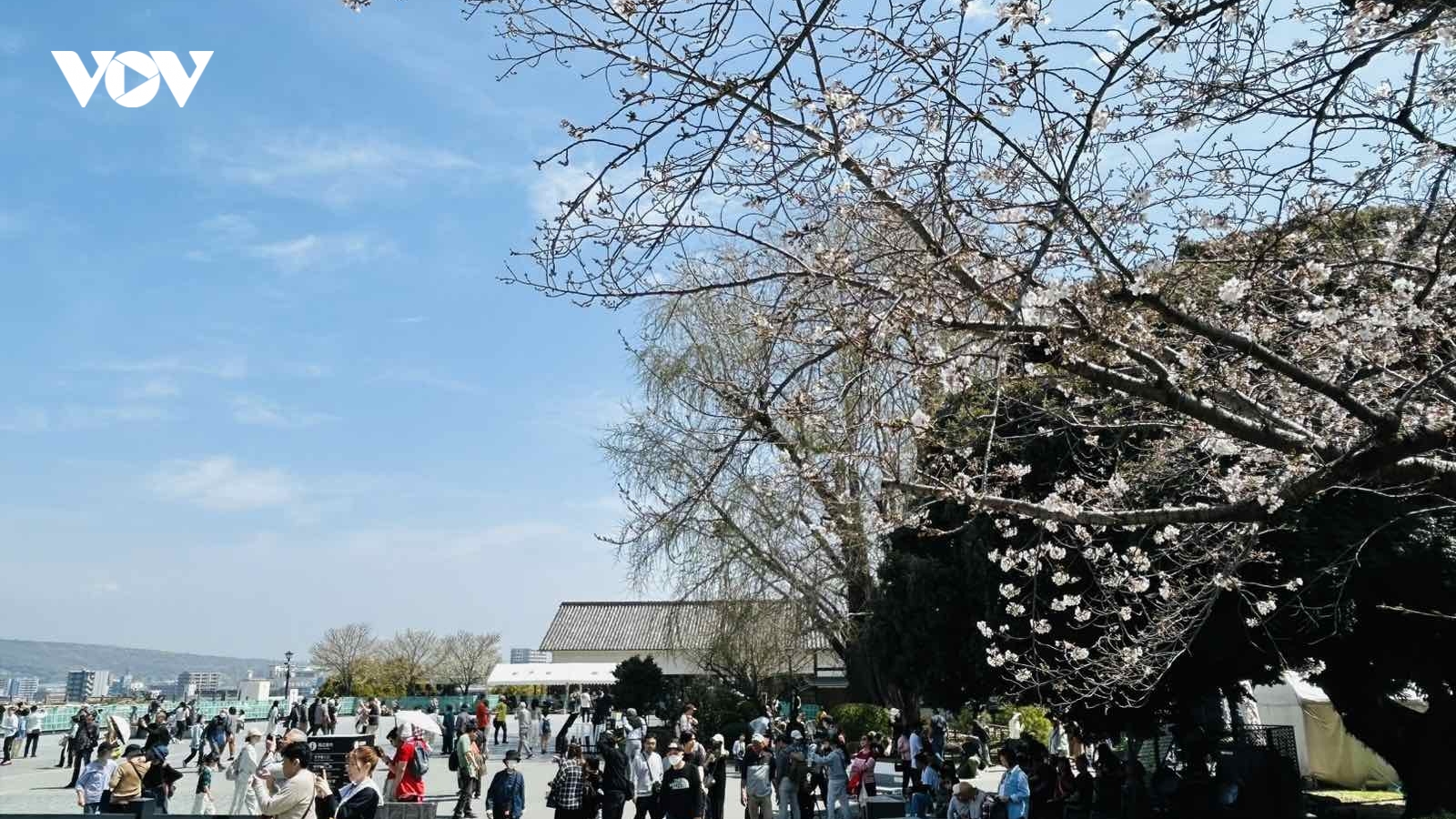 Đa số người Nhật Bản, Hàn Quốc ủng hộ xây dựng cộng đồng kinh tế kiểu EU