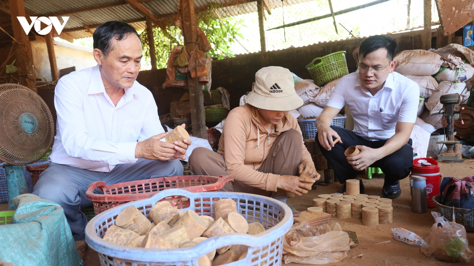 Hiệu quả nguồn vốn tín dụng "tam nông" của Agribank nâng giá trị cây quế Trà Bồng