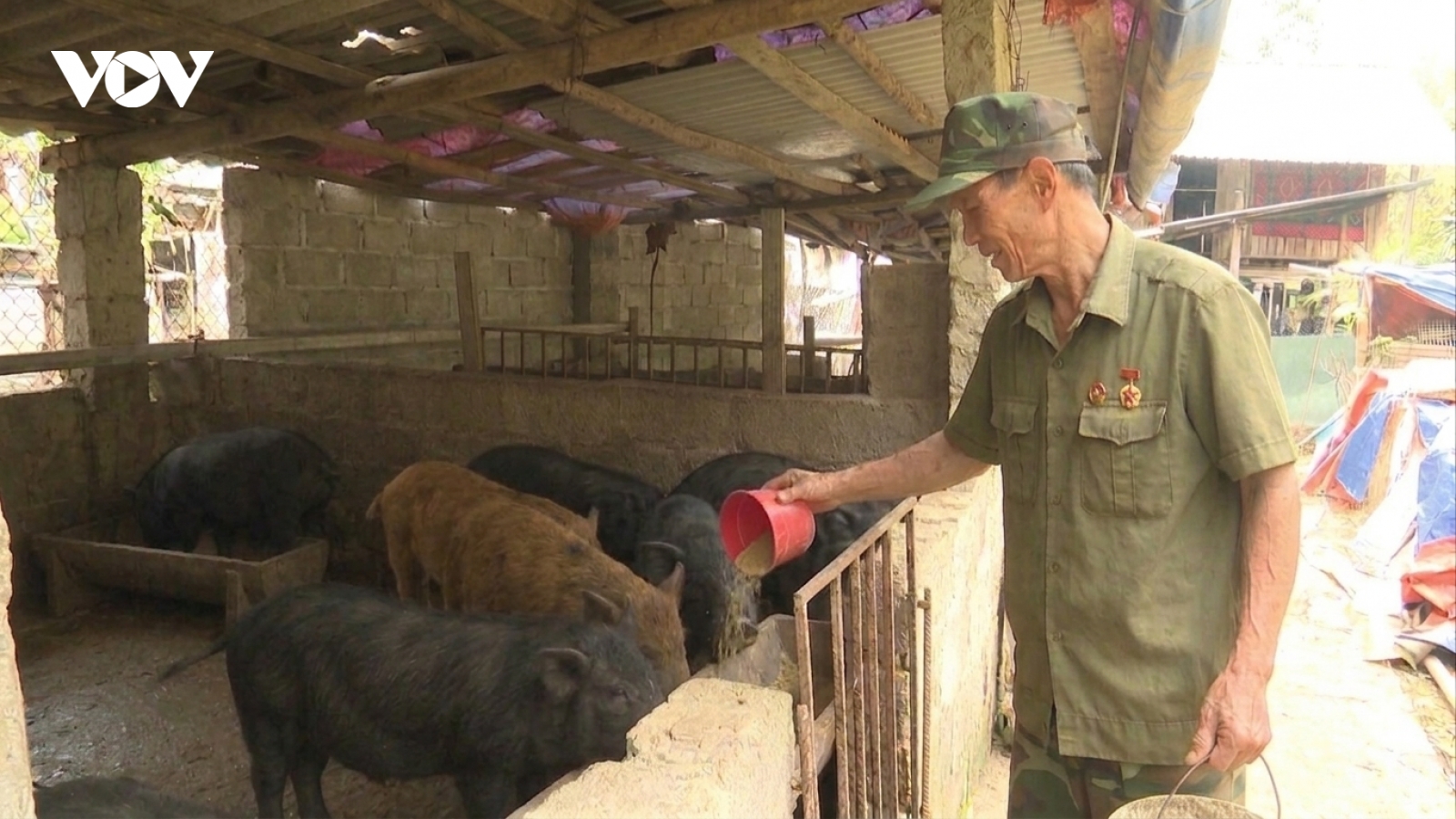 Người thương binh và hành trình hồi sinh vùng đất cằn Đèo Gió