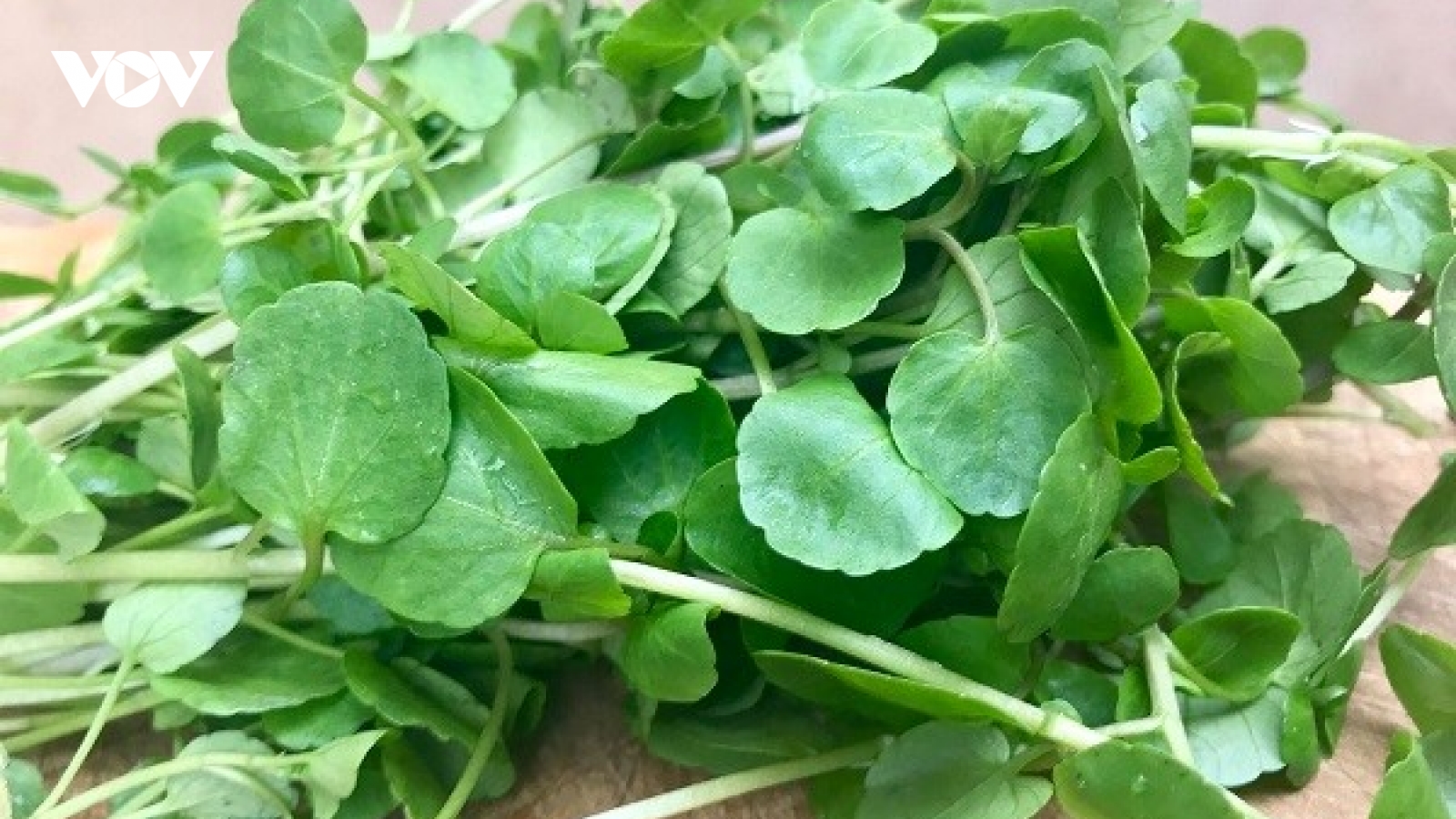 Loại rau bán đầy chợ lại là “‘khắc tinh của bệnh ung thư”