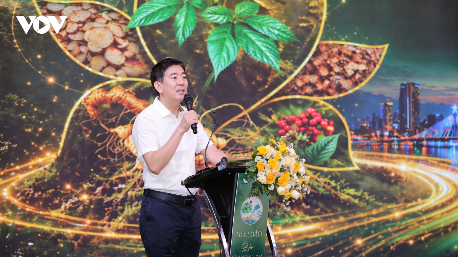 Sâm Ngọc Linh quý hiếm hàng đầu thế giới vẫn chưa "xuất ngoại" được
