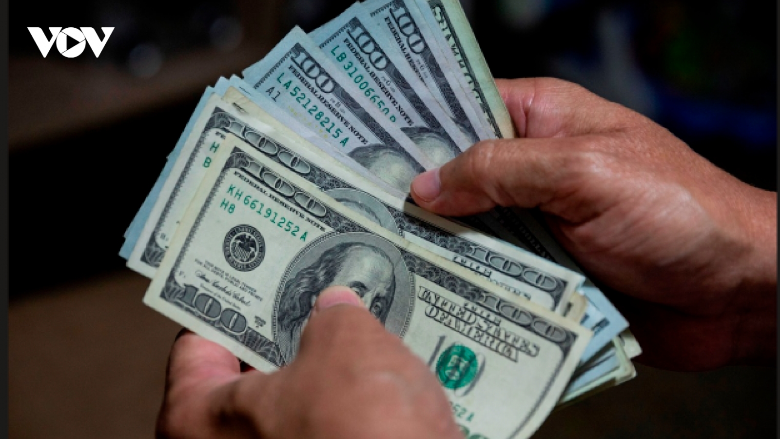 Tỷ giá USD hôm nay 24/8: Giá bán USD tự do tăng lên mốc 25.970 đồng/USD