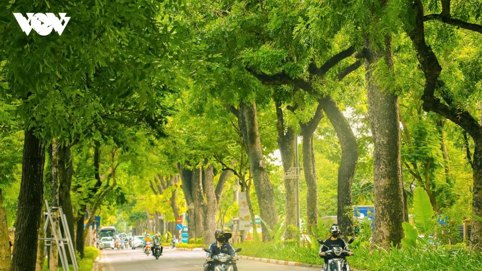 Thời tiết hôm nay 16/7: Bắc Bộ có mưa dông cục bộ