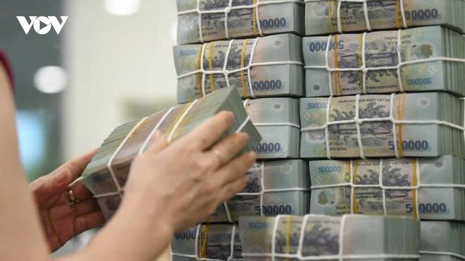 Bổ sung 5.000 tỷ đồng vốn điều lệ cho Ngân hàng Hợp tác xã Việt Nam