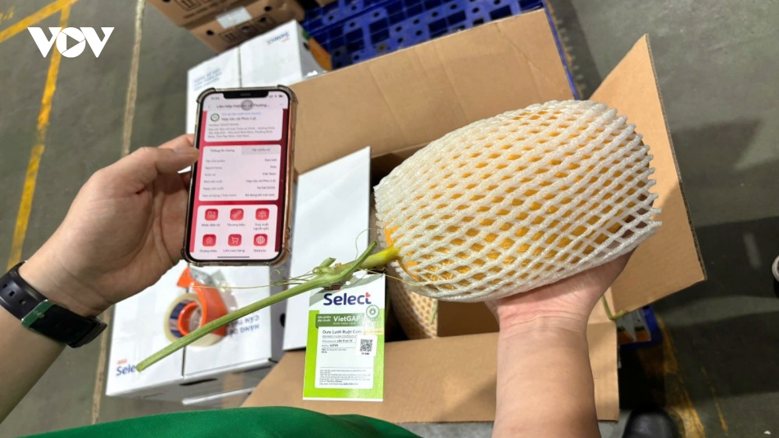 Saigon Co.op kiểm soát hàng hóa từ gốc và đẩy mạnh truy xuất chuỗi cung ứng