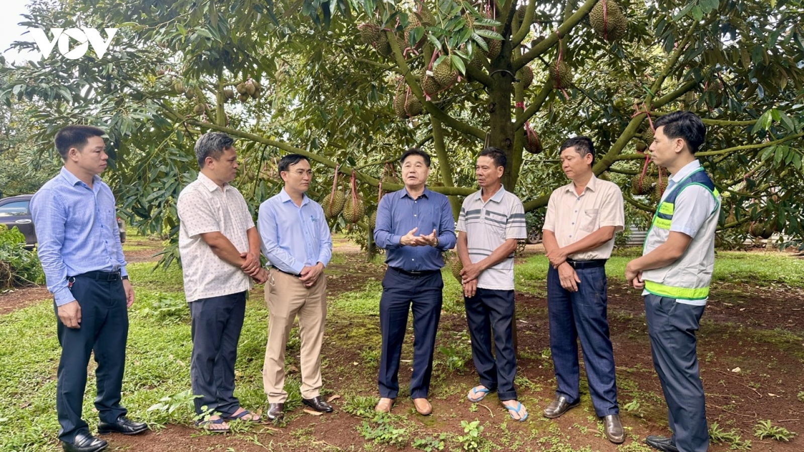 Đắk Lắk đồng hành cùng nông dân số hóa mã số vùng trồng