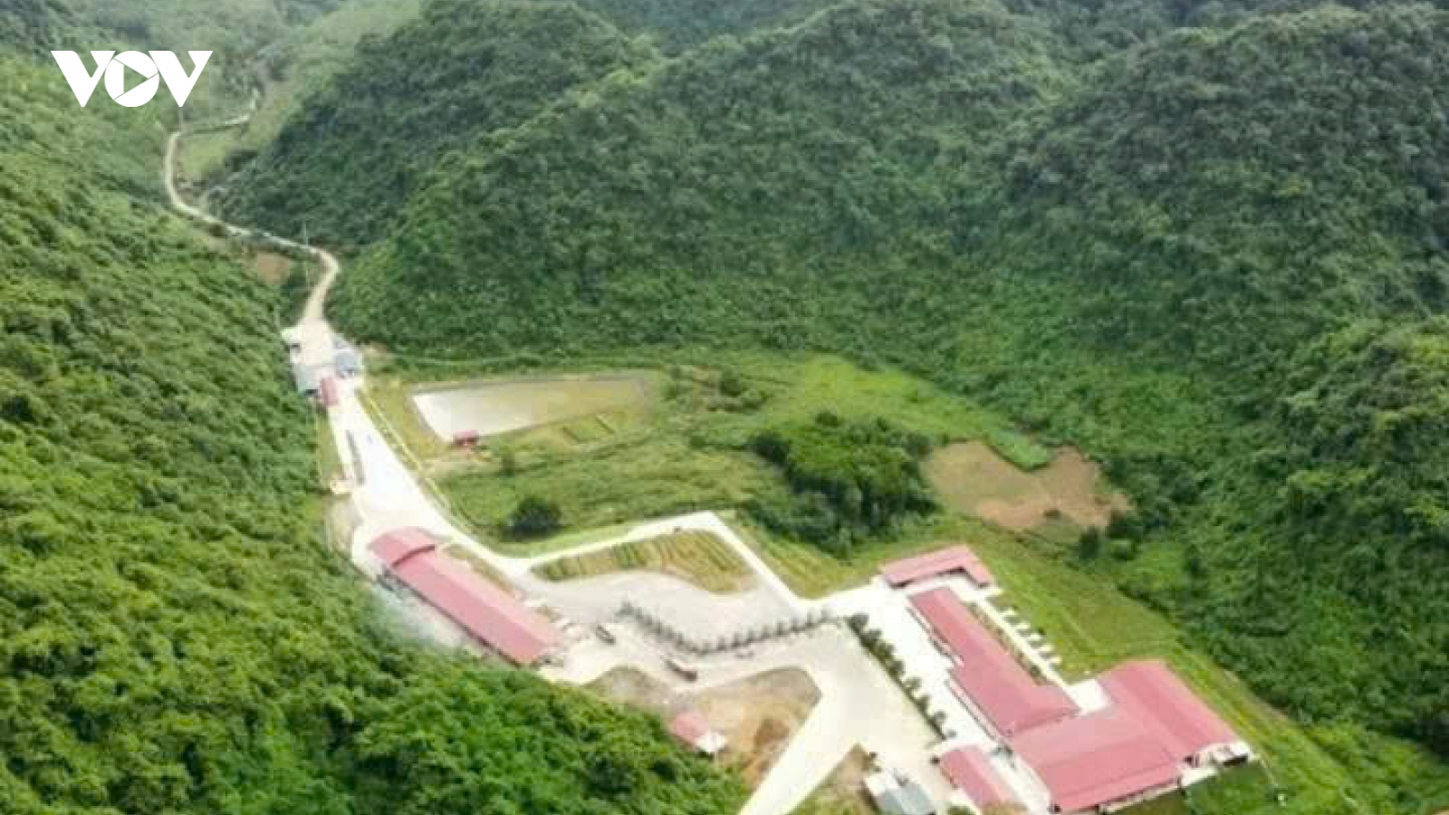 Khởi tố vụ án tai nạn lao động tại trại lợn khiến 5 người tử vong ở Thanh Hóa