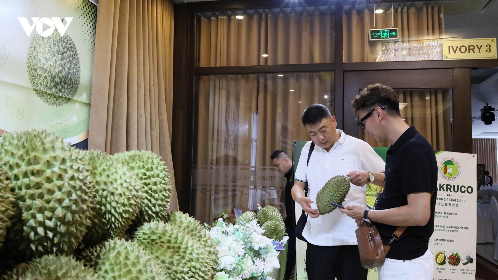 Kết nối chuỗi cung ứng sầu riêng Việt Nam - Trung Quốc