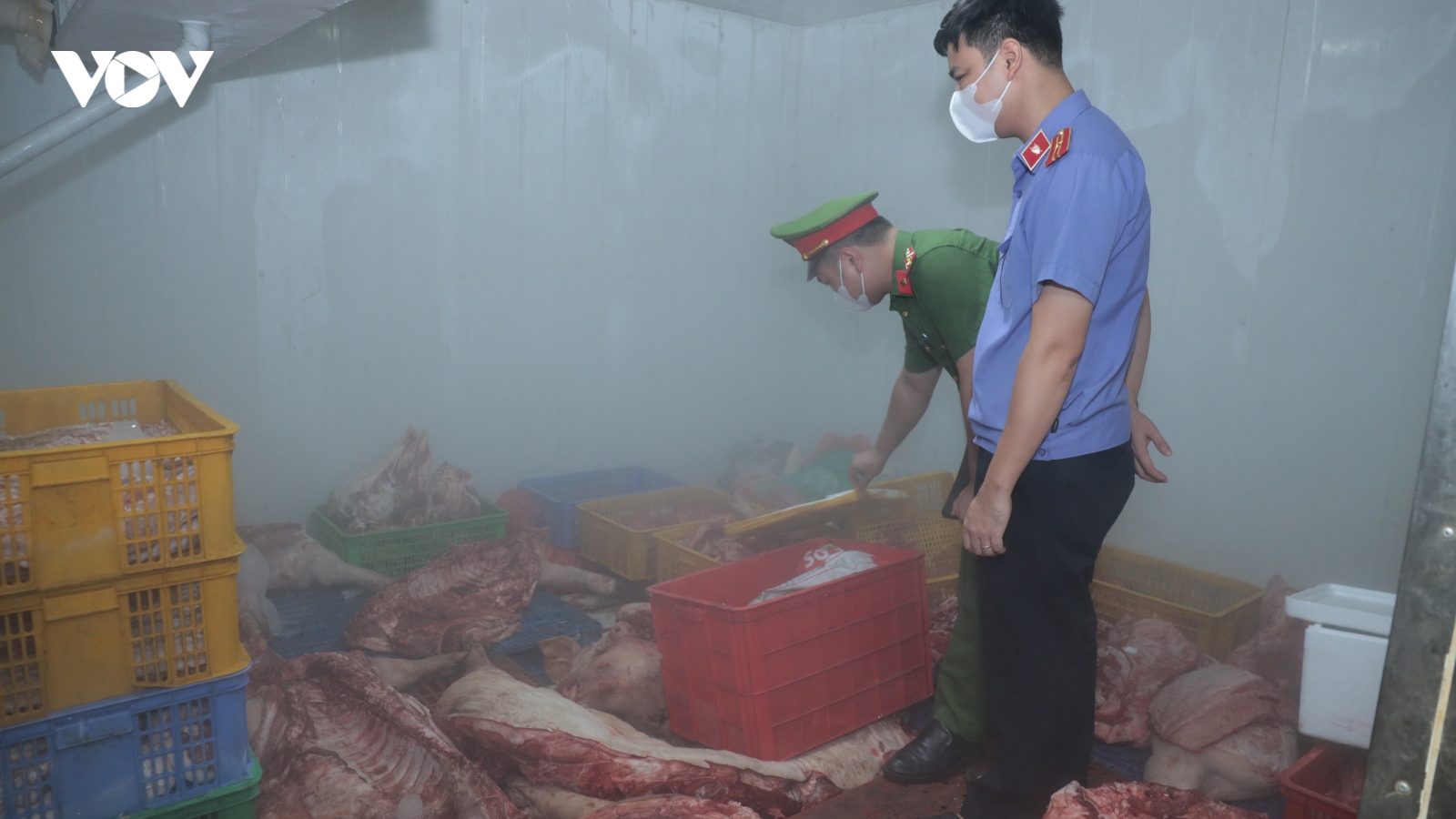 Tiêu hủy gần 1 tấn thịt lợn ở Hưng Yên nghi nhiễm dịch tả lợn châu Phi