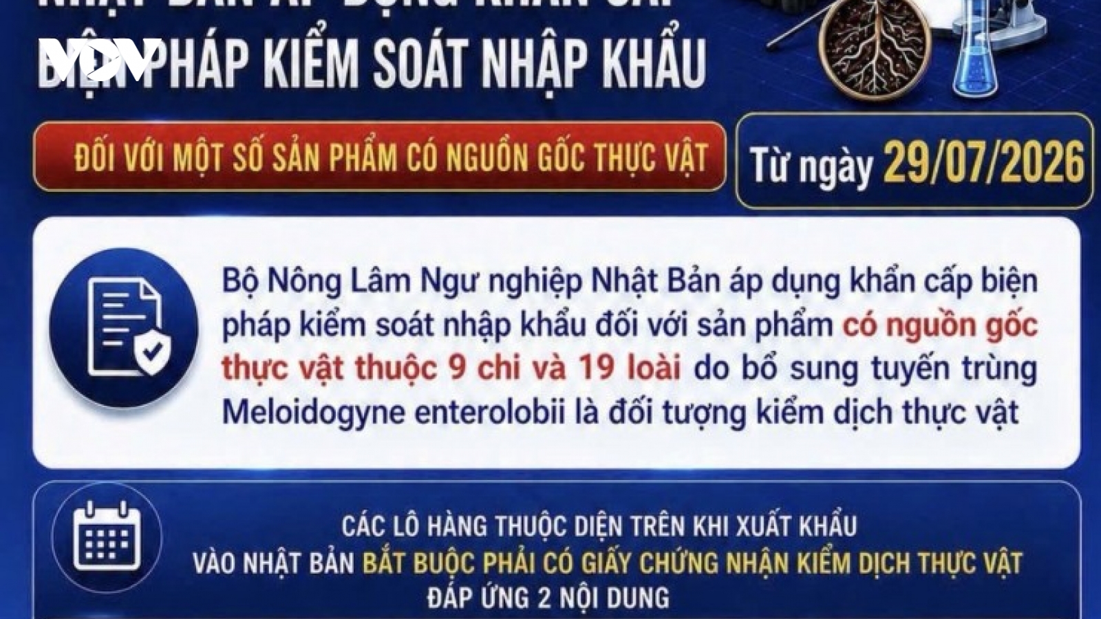 Hải quan cảnh báo quy định mới của Nhật Bản đối với hàng nông sản xuất khẩu