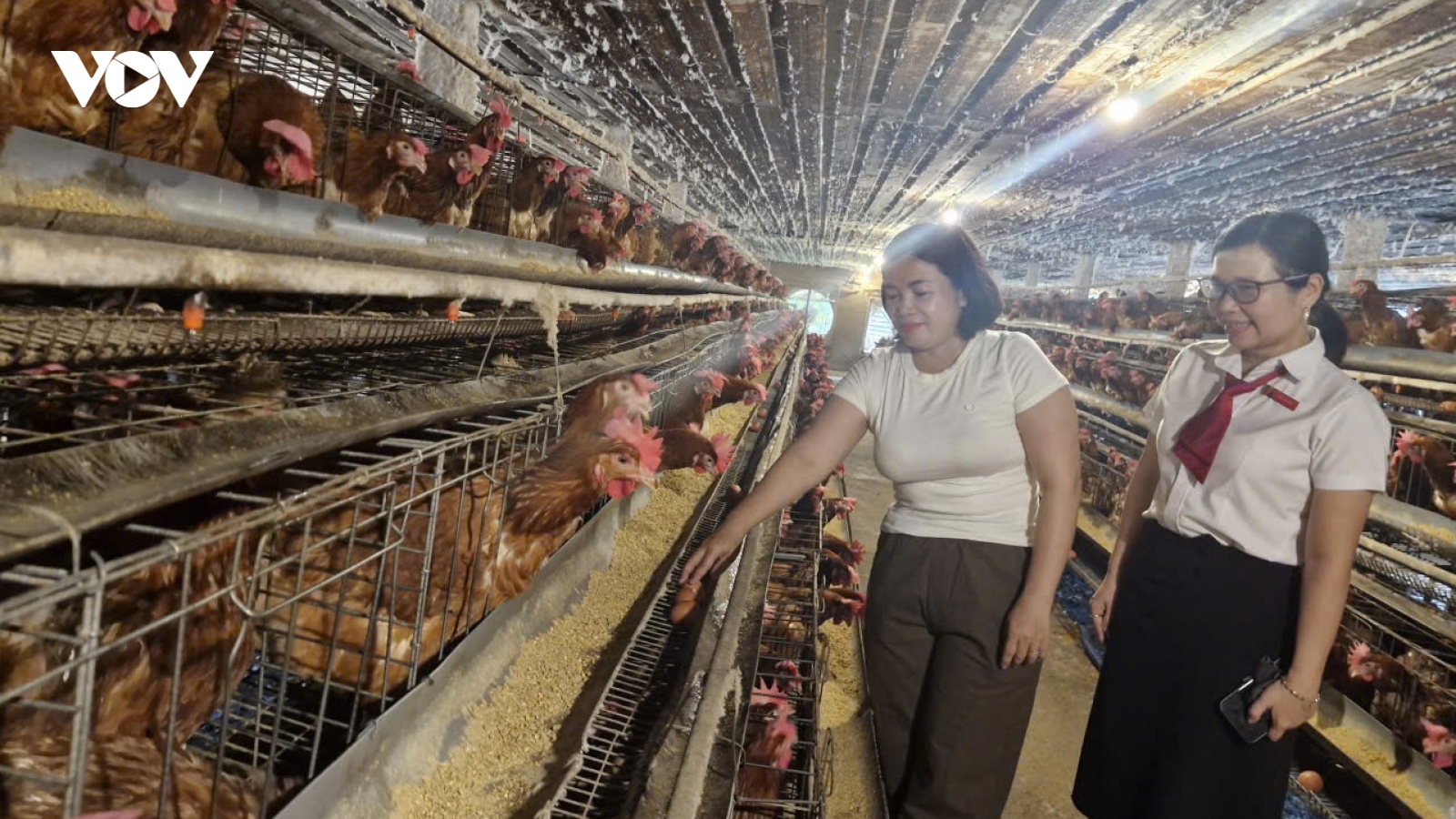 Đà Nẵng: Nông dân ở Đại Lộc vươn lên thoát nghèo nhờ nguồn vốn Agribank