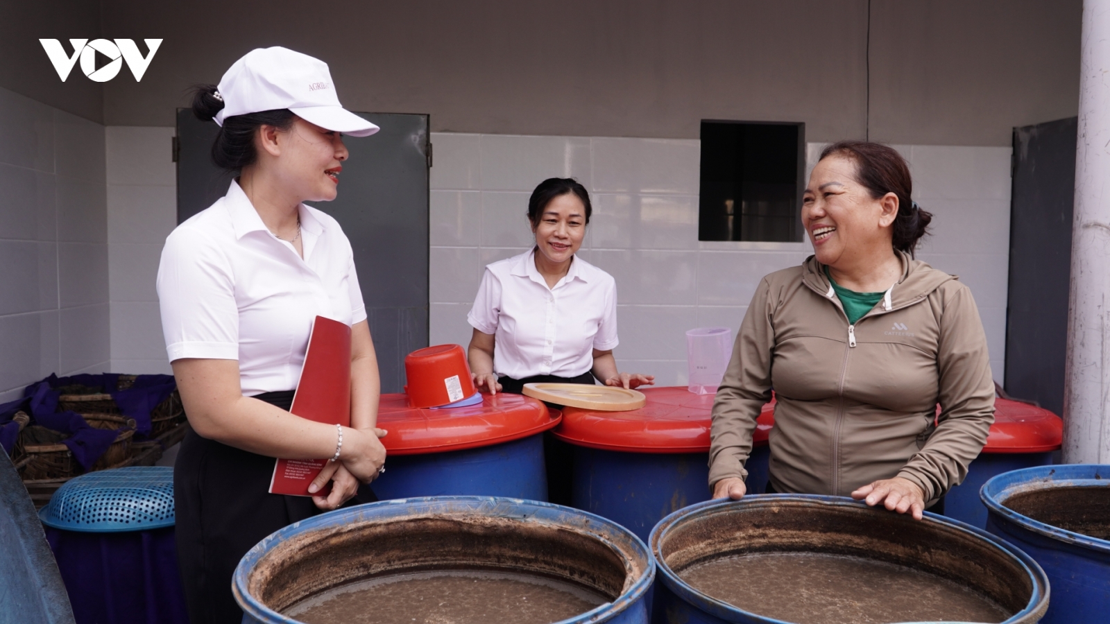 Người dân Quảng Trị làm giàu từ biển