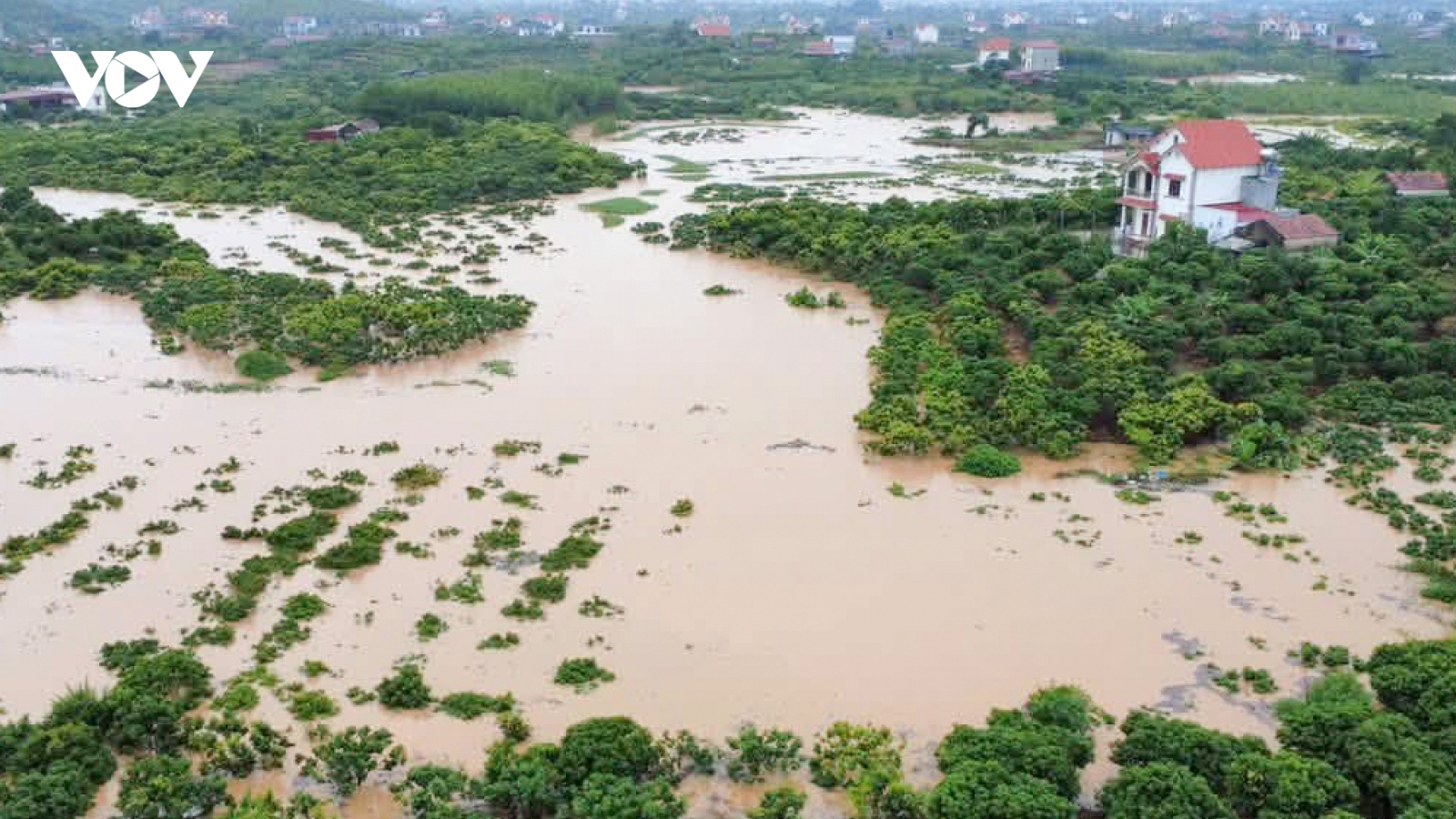 Bắc Ninh báo động số I trên sông Cầu, hàng nghìn ha lúa, hoa màu bị lũ nhấn chìm