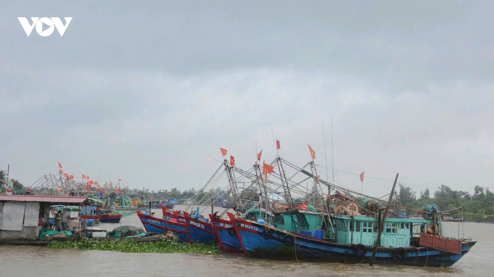 Hải Phòng bảo đảm an toàn tàu thuyền tại nơi neo đậu