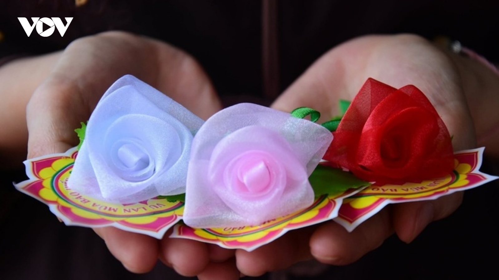 Vì sao cài hoa hồng lên áo trong ngày lễ Vu lan?