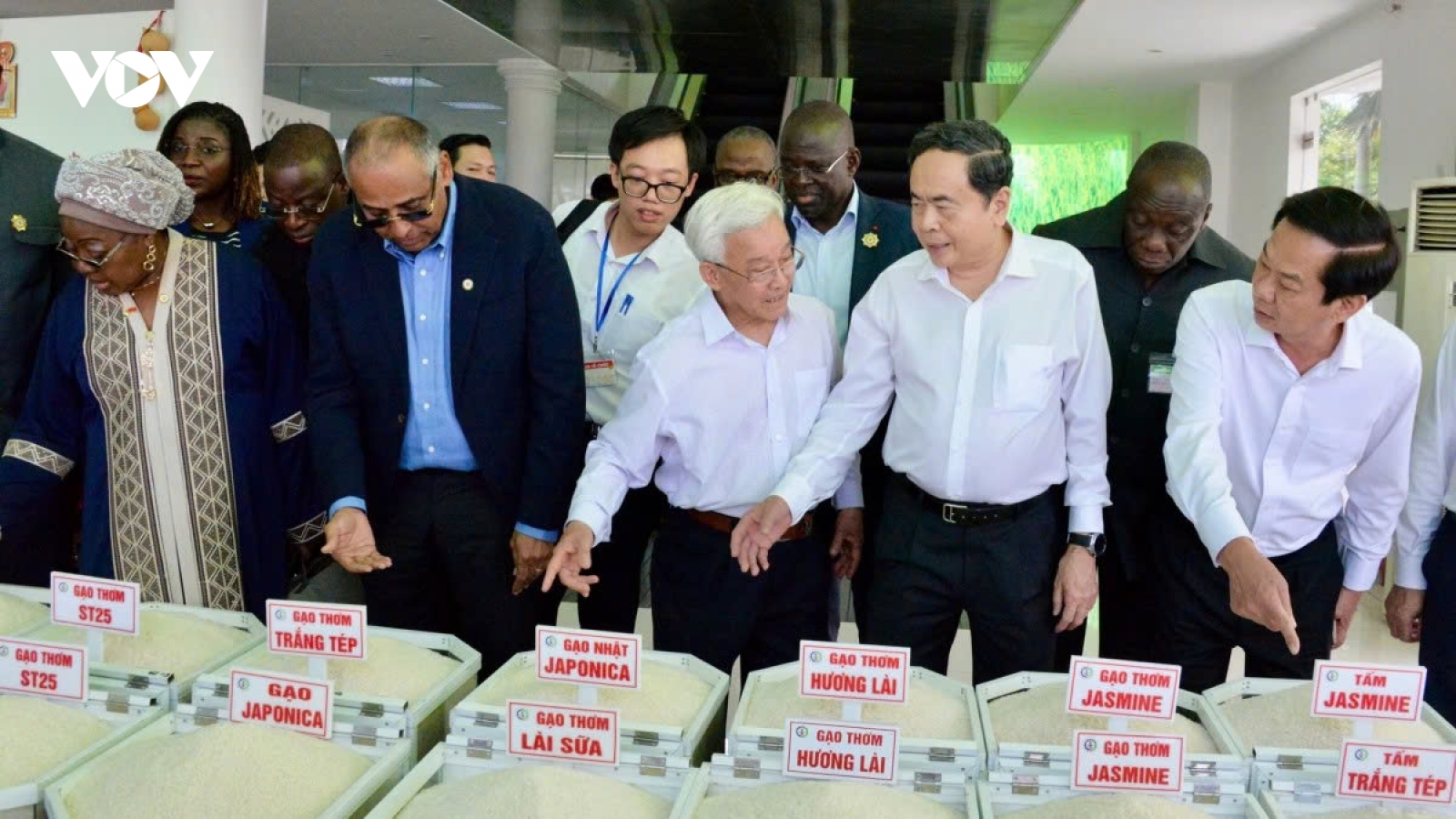 Côte d’Ivoire parliament leader explores Vietnam’s rice production and processing