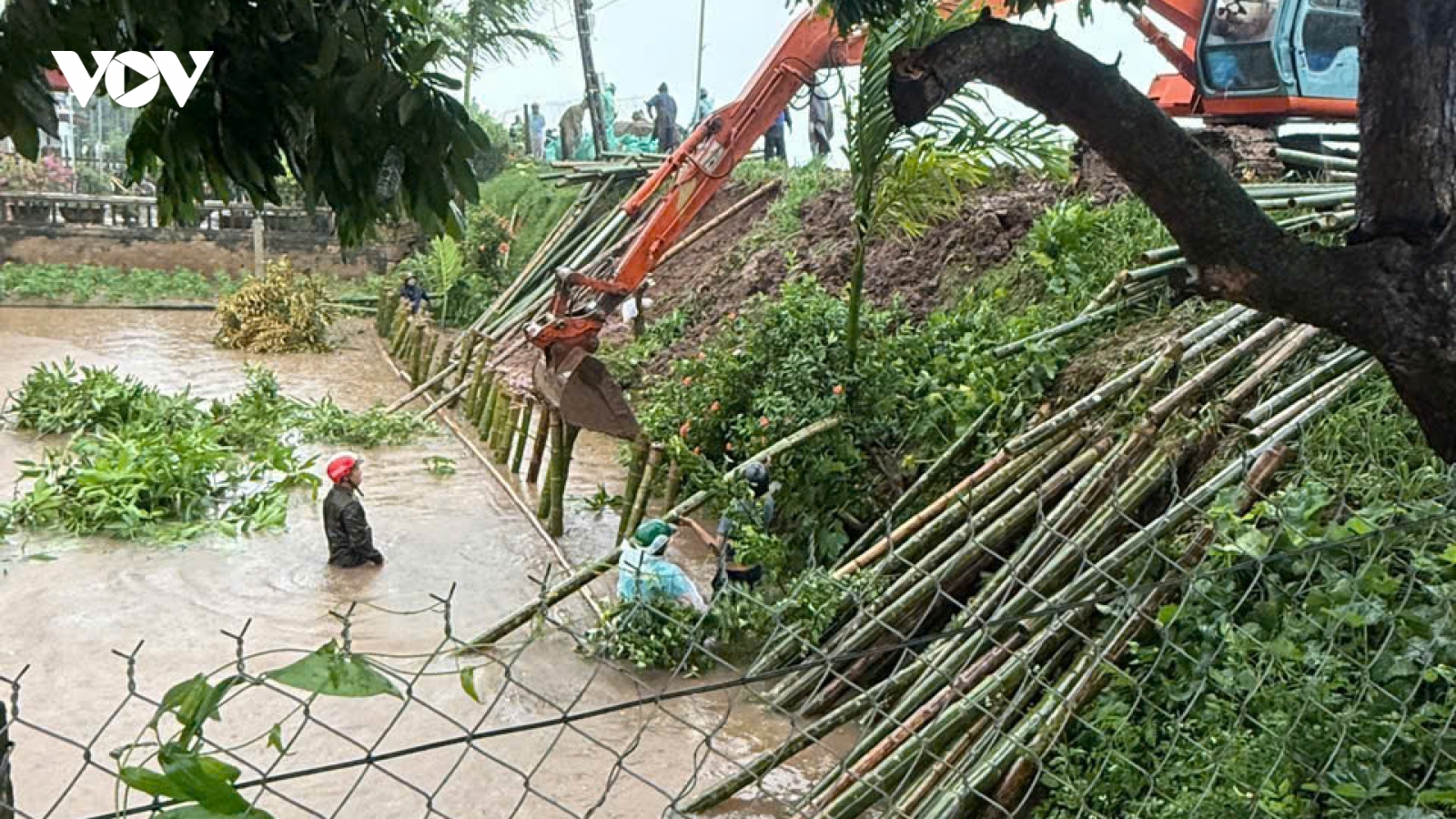 Khẩn trương khắc phục sạt lở đê Hữu Đáy tại Định Hóa, Ninh Bình