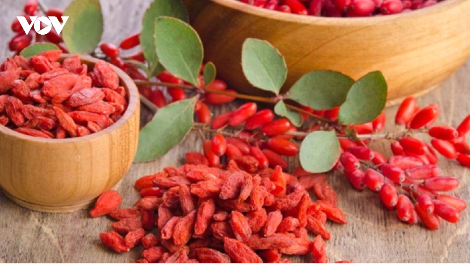 Vị thuốc nhỏ nhưng có võ, biết dùng là lá chắn vàng cho gan, thận và trí não