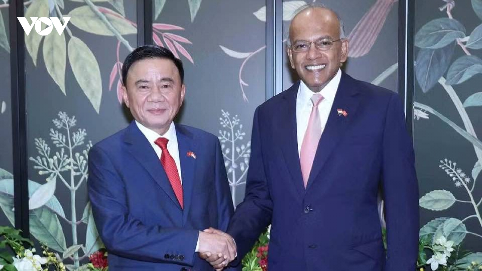 Thúc đẩy hợp tác Singapore - Việt Nam về phòng chống tội phạm xuyên biên giới