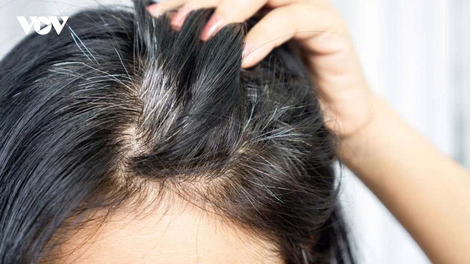 Qua tuổi 50, ăn gì để tóc bớt rụng, chậm bạc?