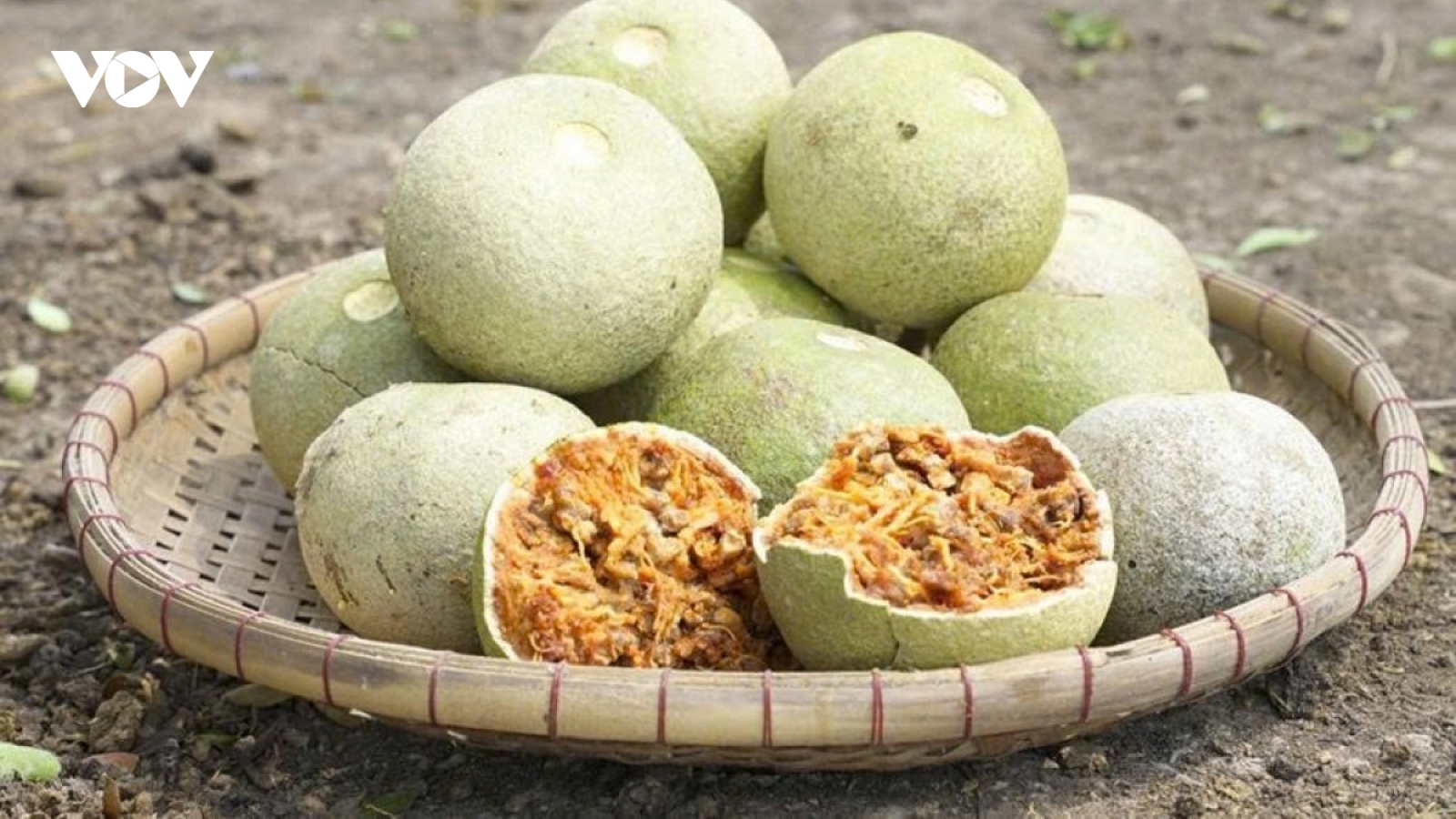 Từ cây mọc dại thành đặc sản độc đáo miền Tây