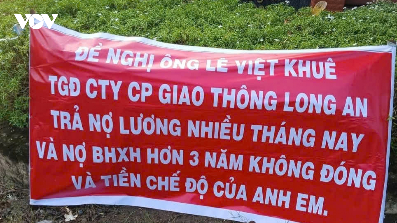 Người lao động kêu cứu vì doanh nghiệp nợ hàng tỷ đồng bảo hiểm