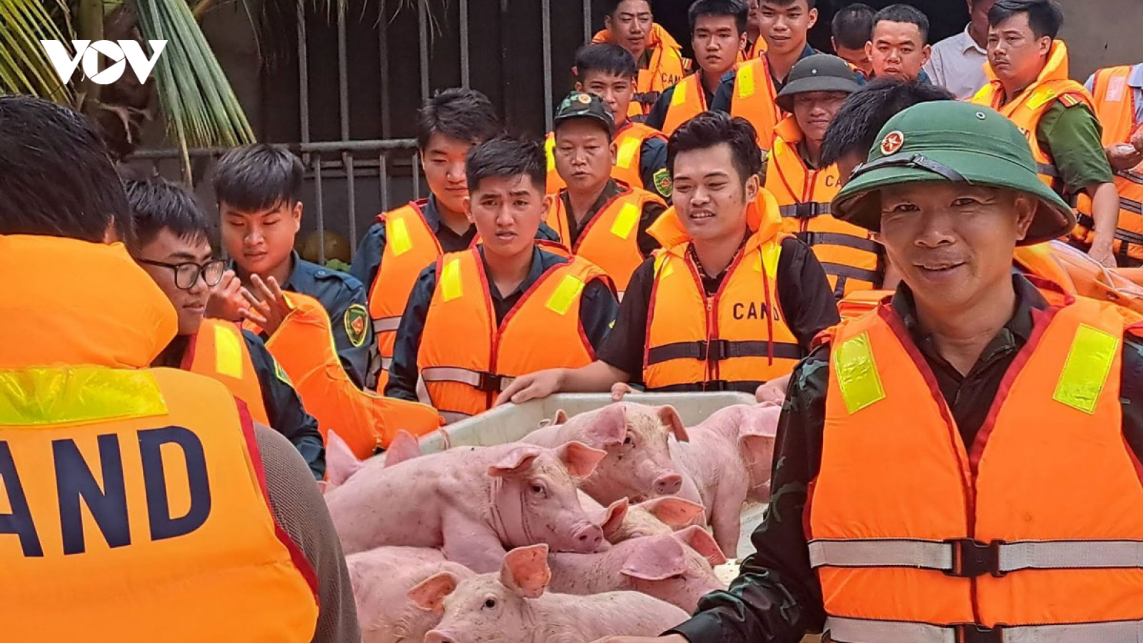 Bộ đội, công an ở Đồng Nai căng mình hỗ trợ người dân vùng ngập