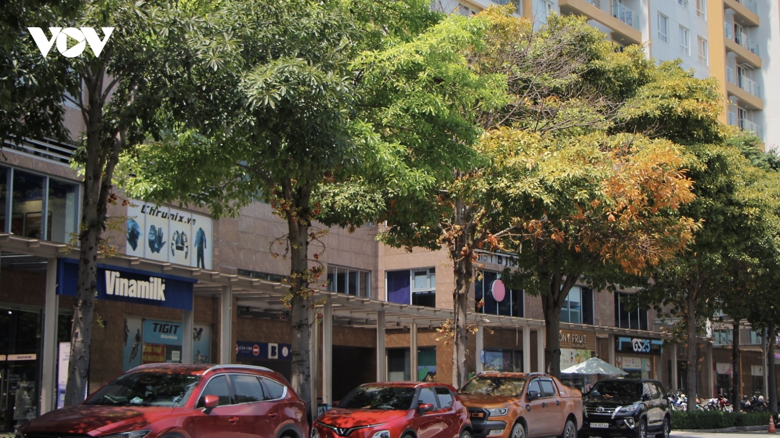 Những sắc màu mùa thu gây thương nhớ ở TP.HCM