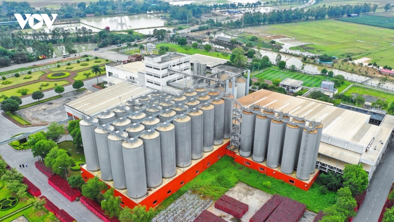 Bia Hà Nội: Từ di sản hầm lên men truyền thống đến thương hiệu chuyển đổi xanh