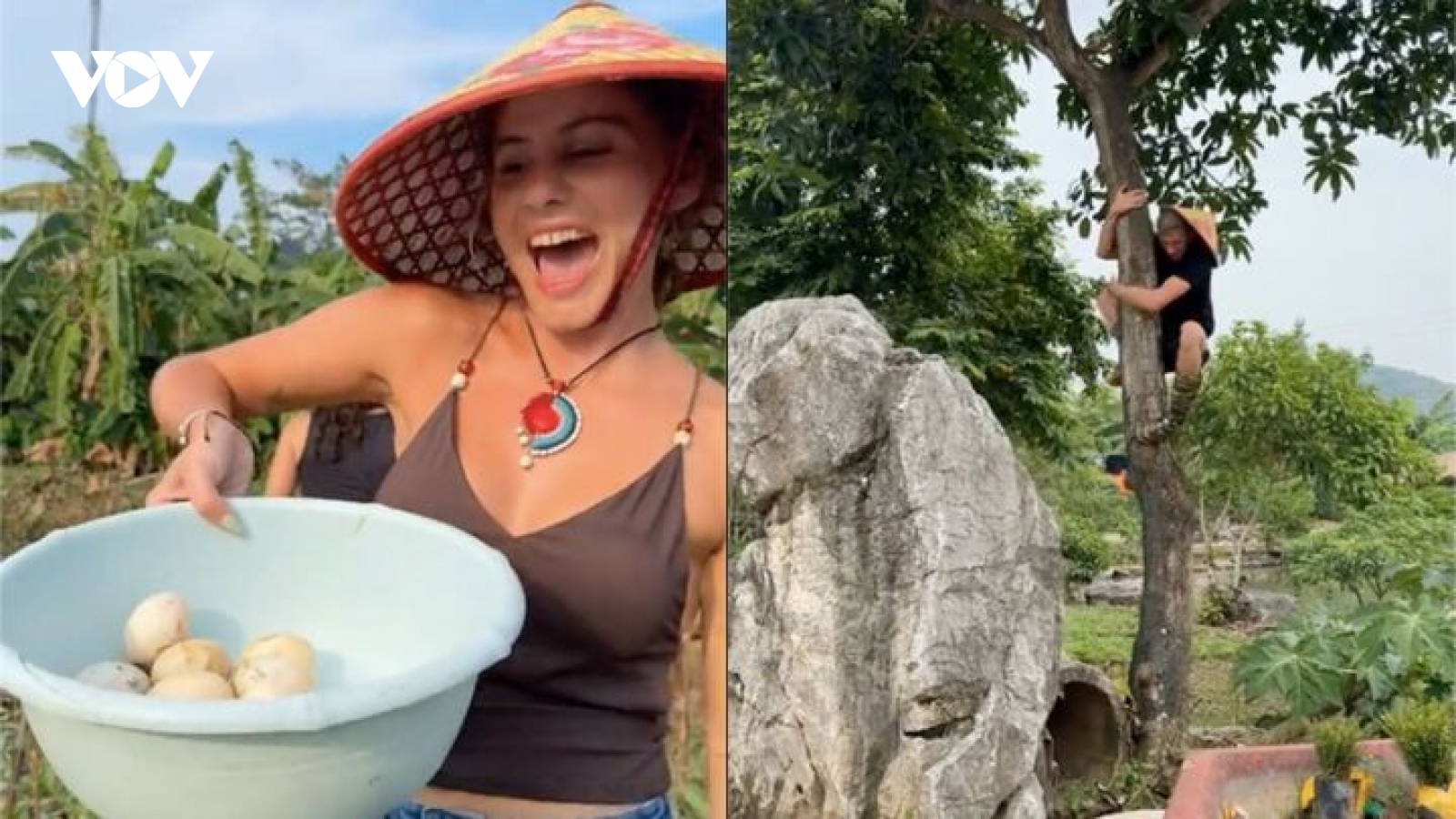 Xem khách Tây nhặt trứng vịt, trèo cây, dân mạng Việt ôn lại "tuổi thơ dữ dội"