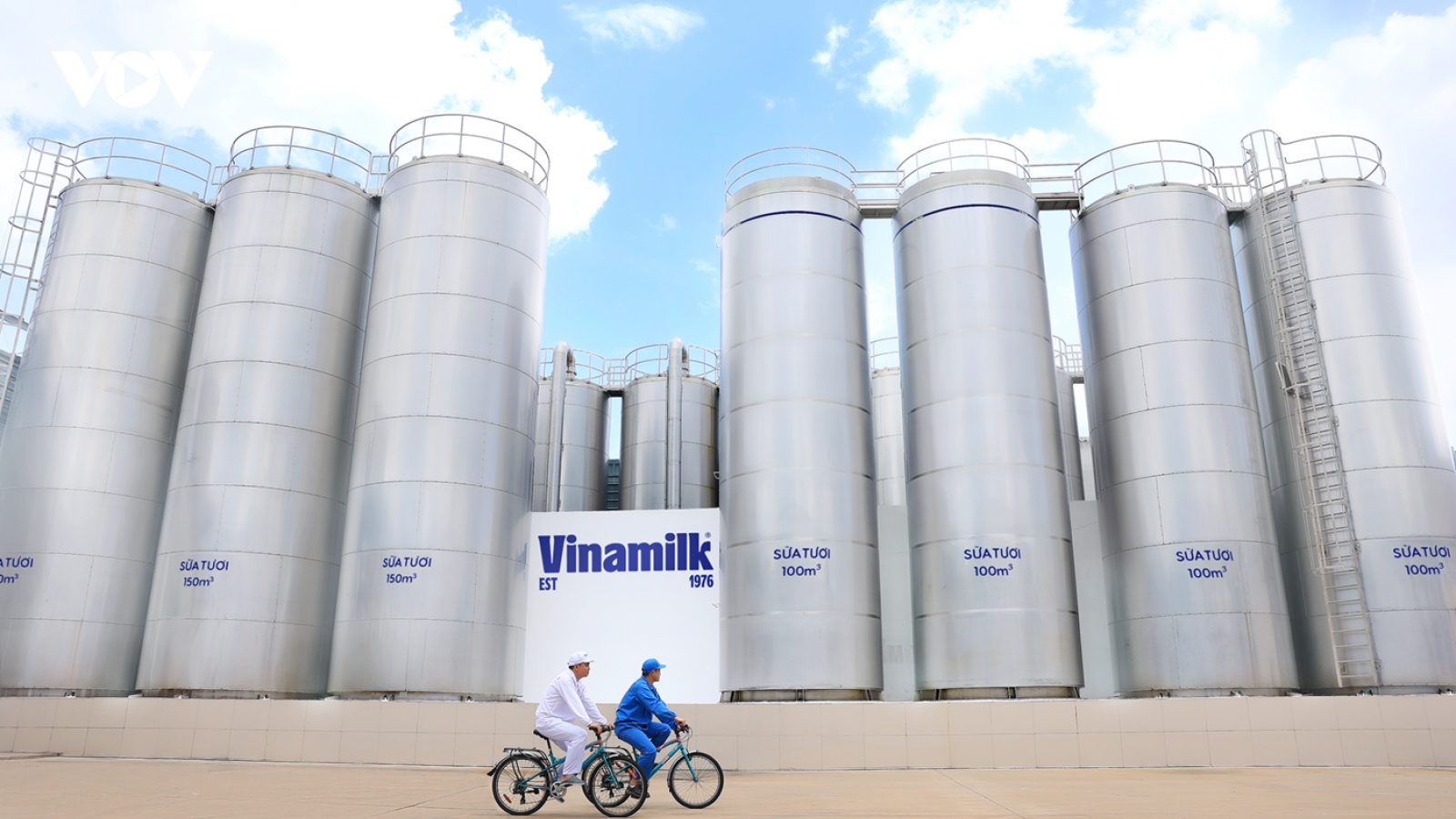 50 năm Vinamilk: Hành trình không ngừng nâng chuẩn