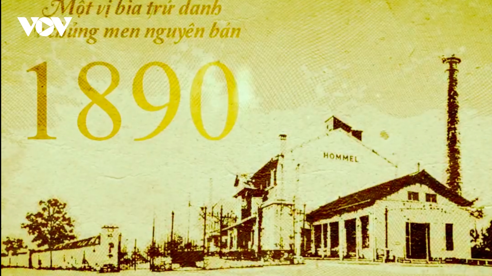 Chủng men nguyên bản - Giữ trọn hương vị trăm năm Bia hơi Hà Nội