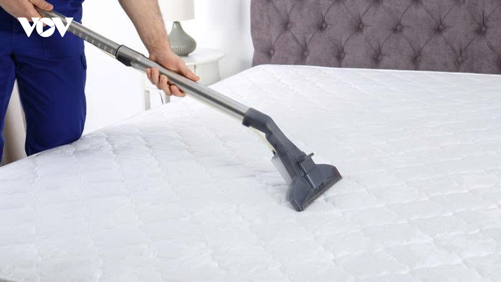 5 cách loại bỏ bọ nhảy trên giường, ngăn tái phát