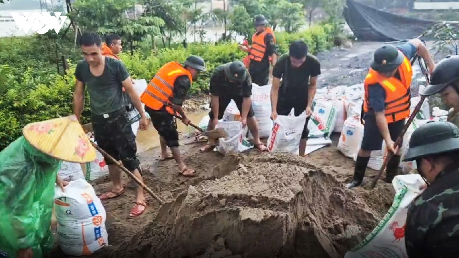 Mưa lớn kéo dài, Hà Nội lệnh báo động lũ trên nhiều sông