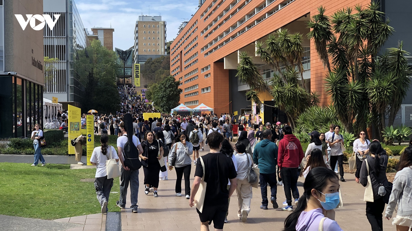 Hai đại học Australia cho phép sinh viên sử dụng AI trong học tập