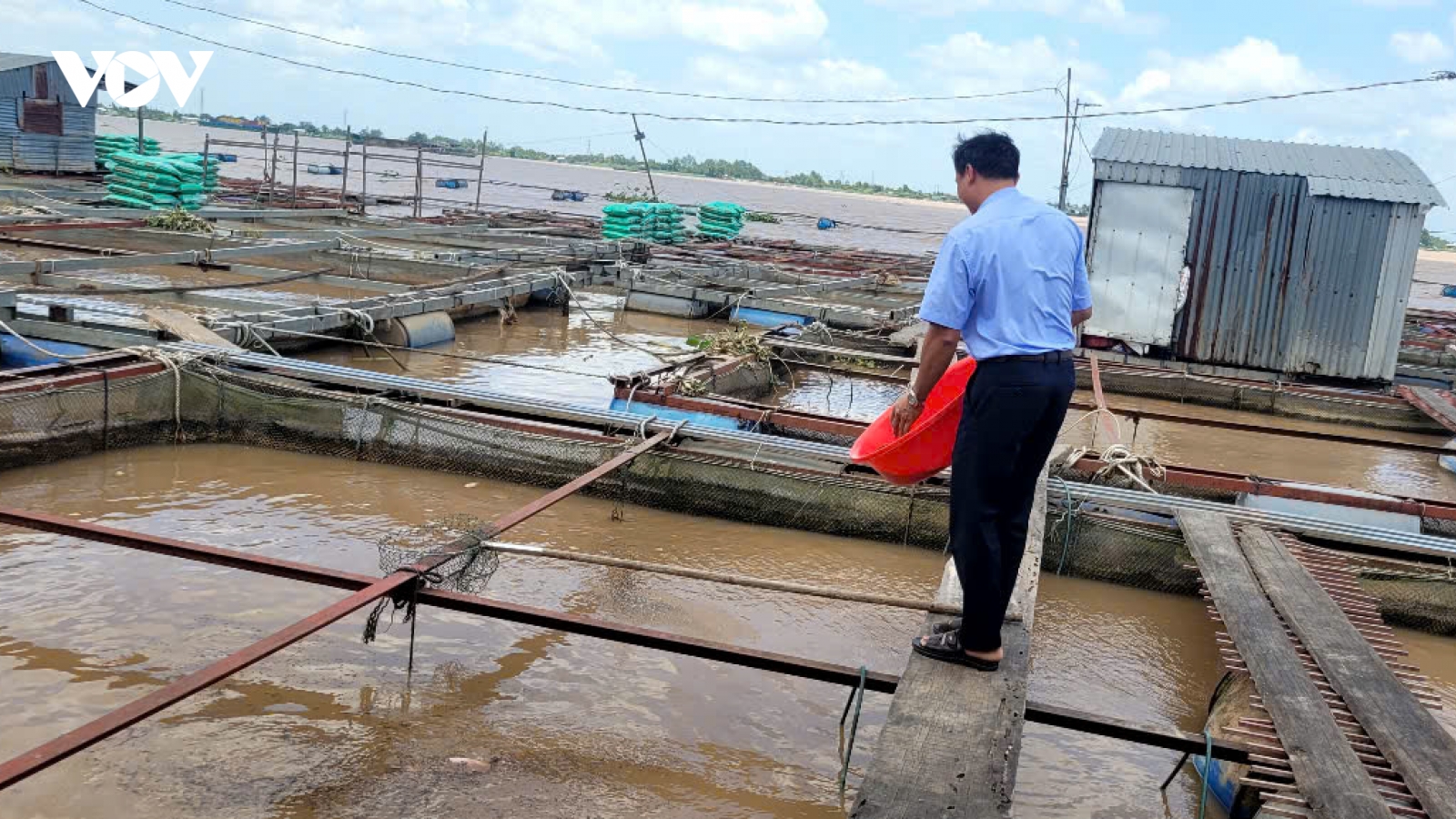 Hai cha con nuôi cá bè bị điện giật rơi xuống sông mất tích ở Đồng Tháp