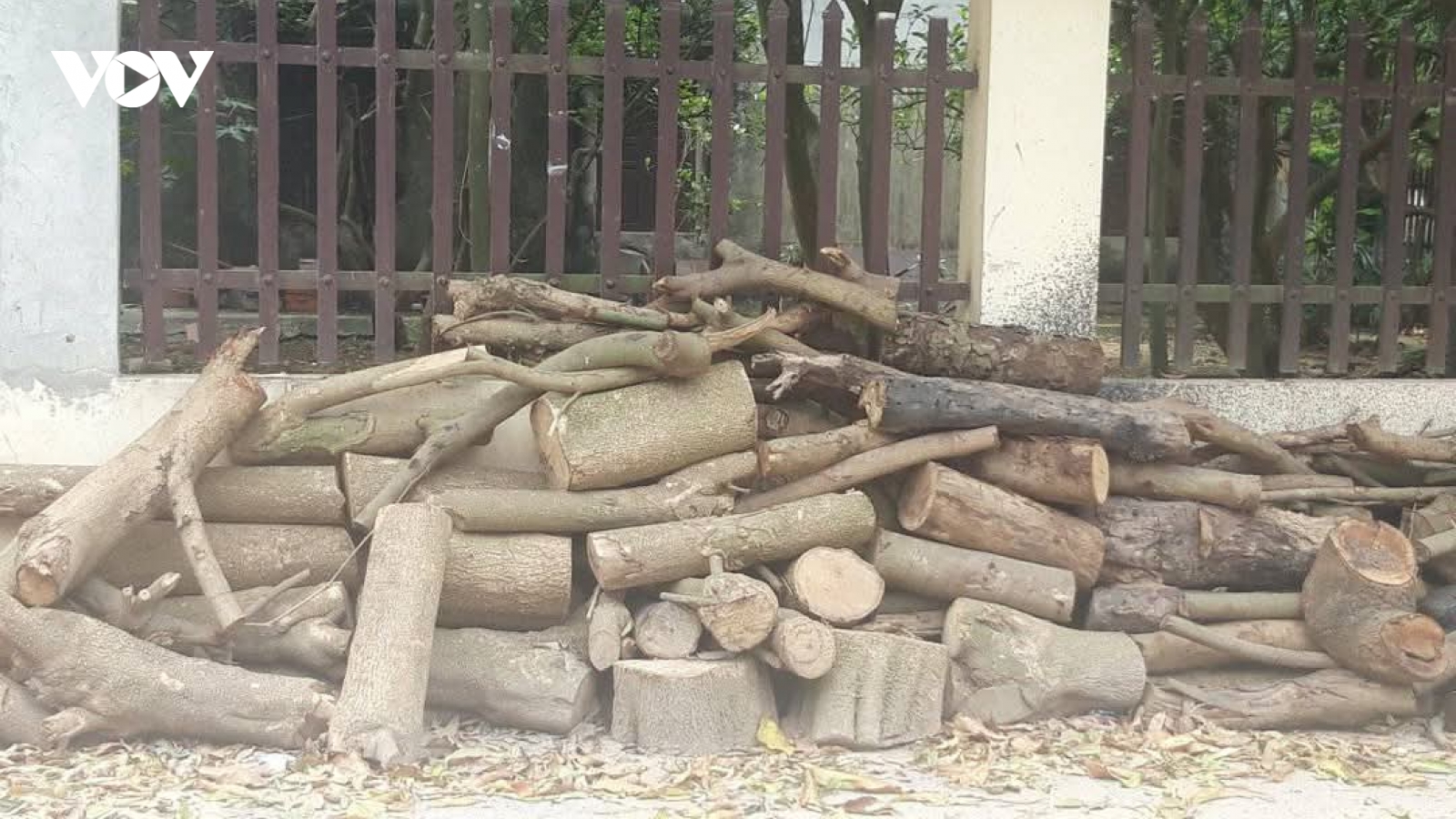 Bảo hiểm xã hội cho người lao động: Nói thêm lần nữa về chuyện biết rồi