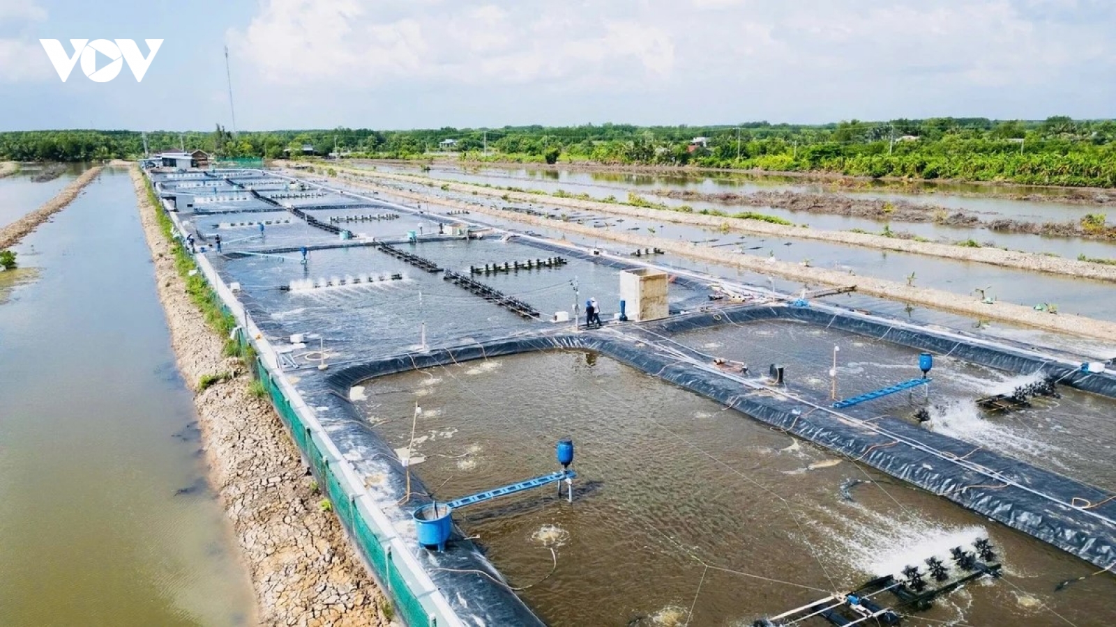 Ứng dụng công nghệ RAS nâng cao hiệu quả nuôi thủy sản