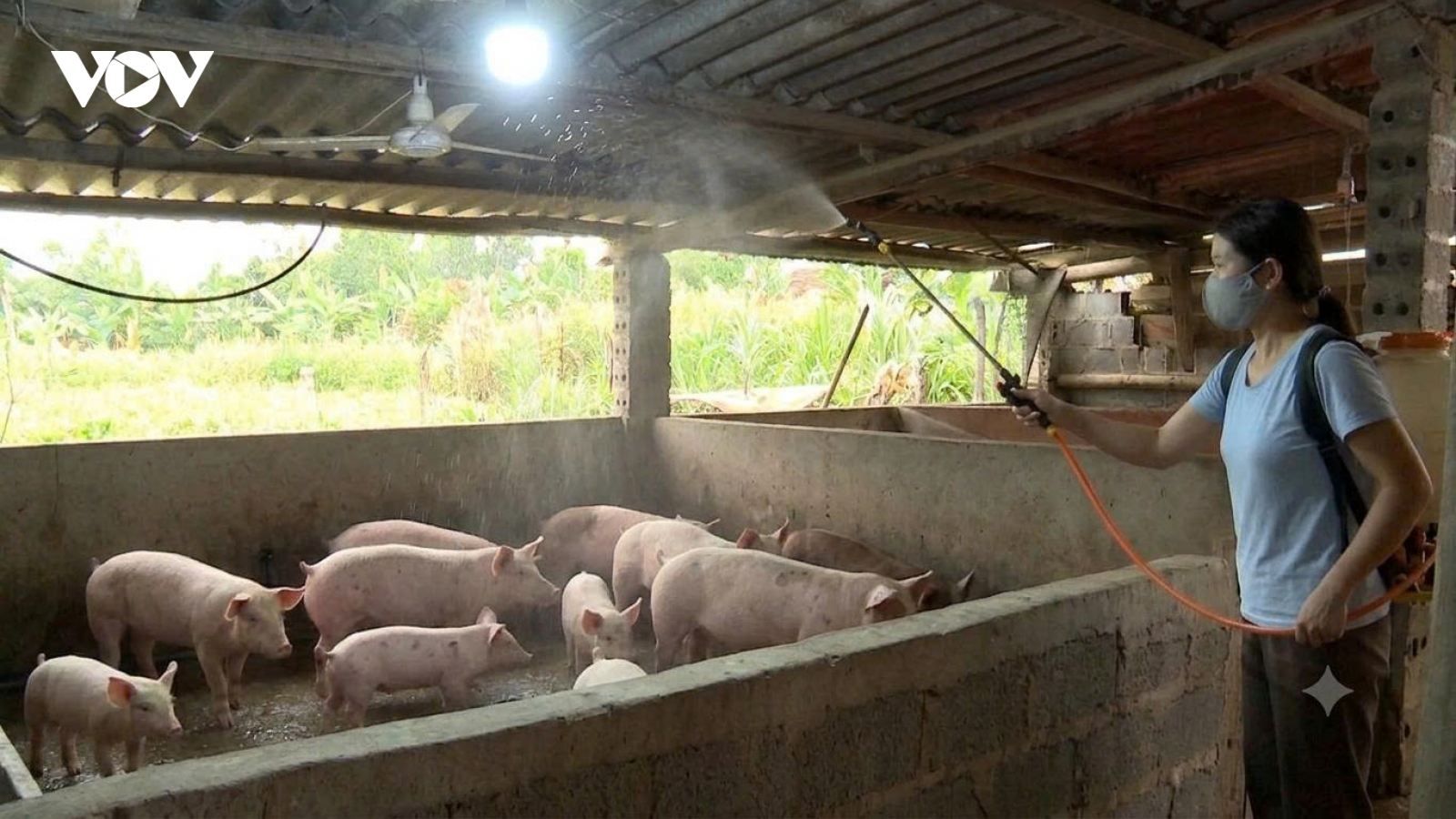 Vùng cao Thái Nguyên chủ động phòng bệnh cho vật nuôi khi giao mùa