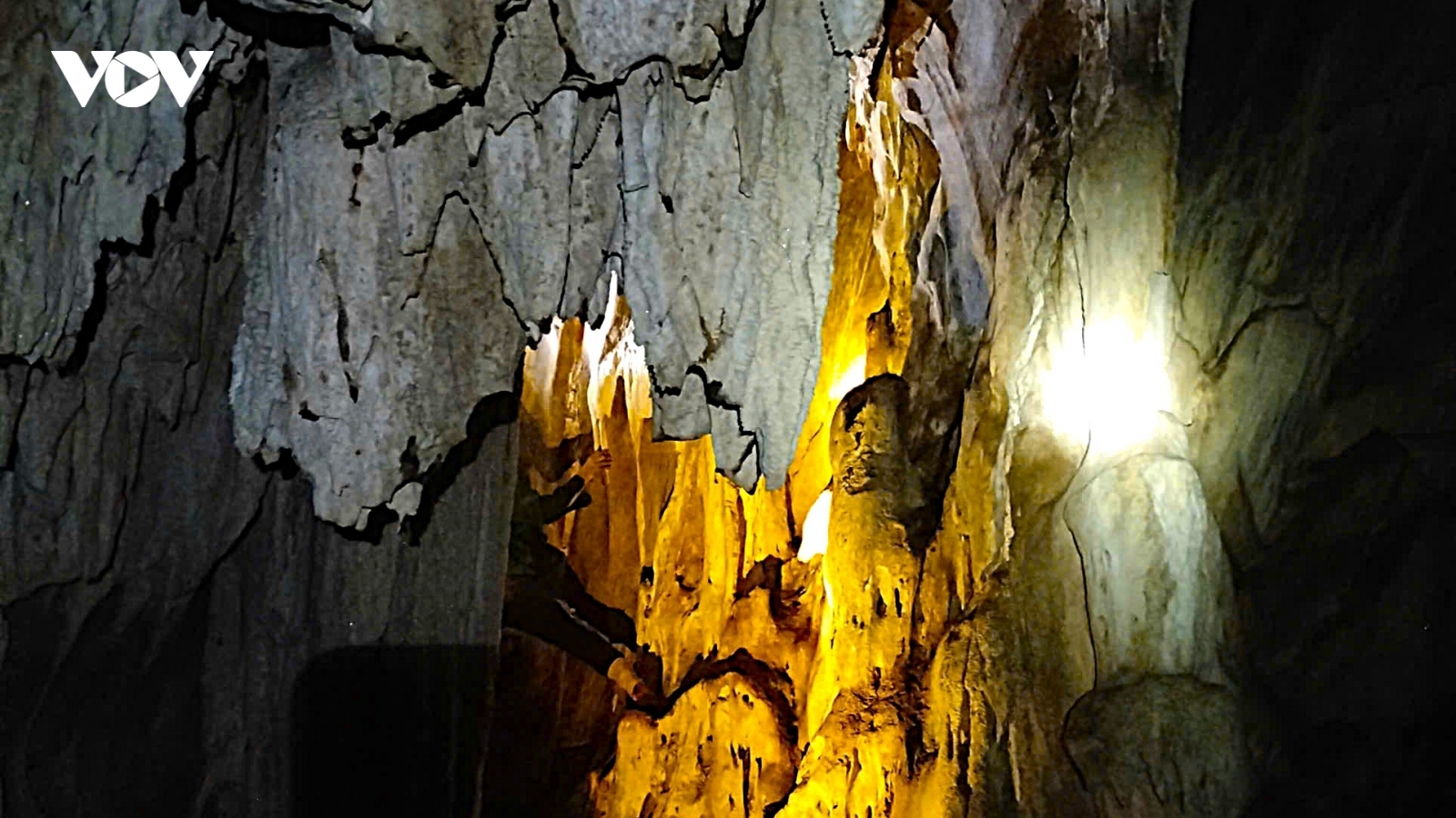 Phát hiện hang động nguyên sơ giữa rừng nguyên sinh ở Nghệ An