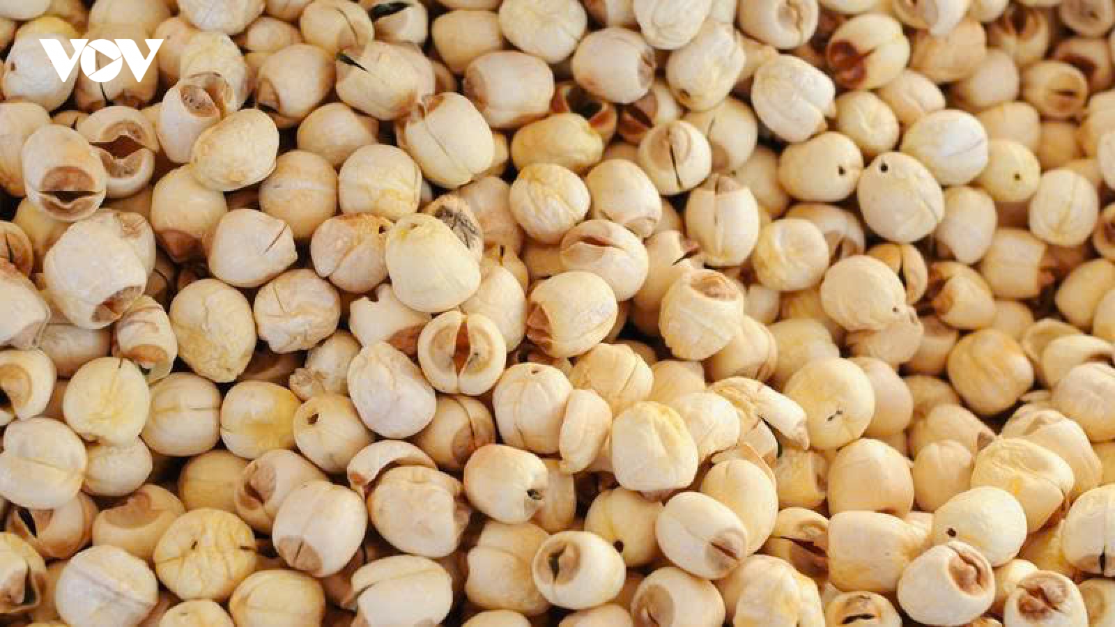 Hạt sen sấy khô có tốt không? Những điều cần biết trước khi ăn