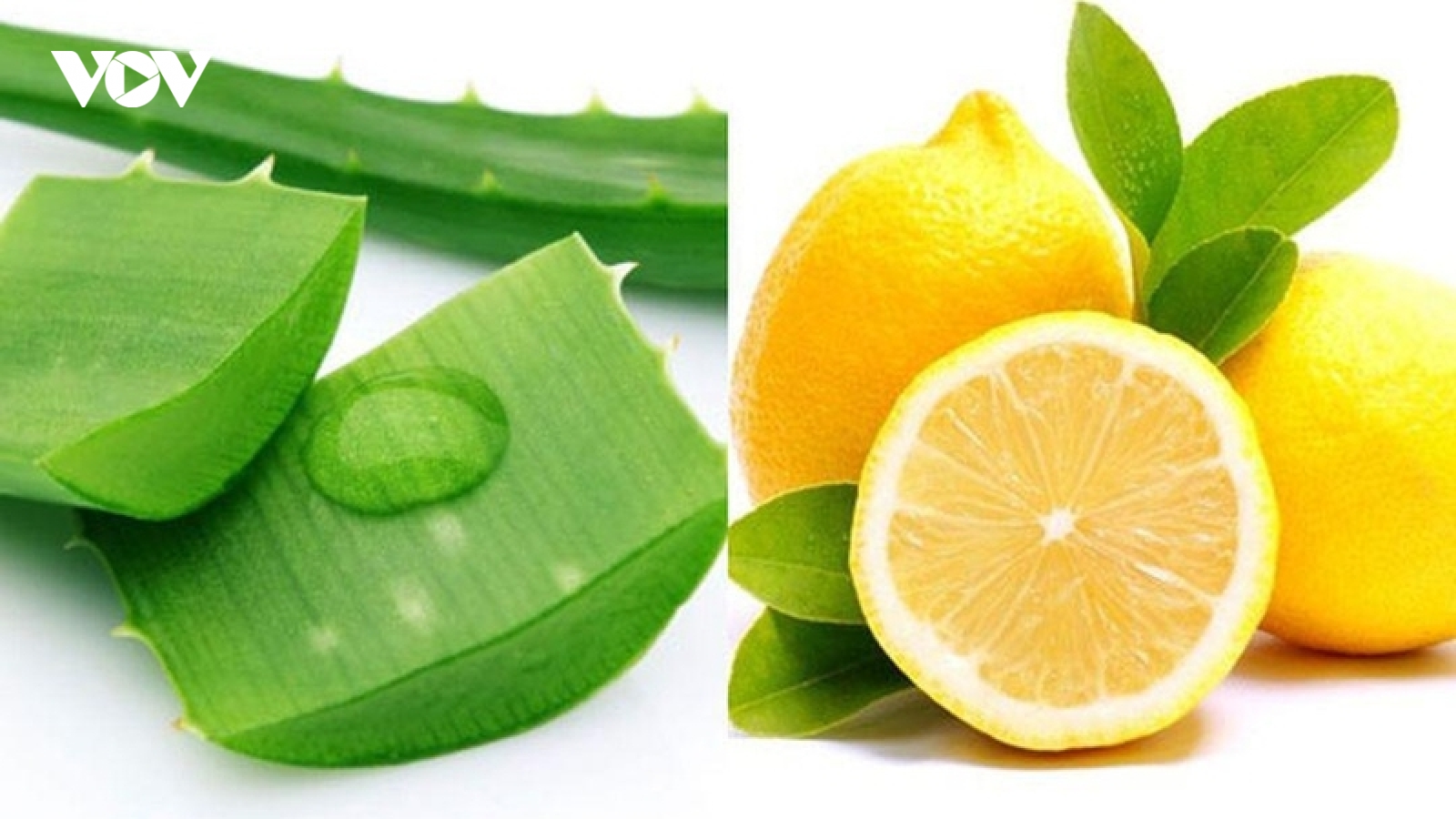 Nha đam với chanh có thực sự tốt? 5 lợi ích và điều cần lưu ý