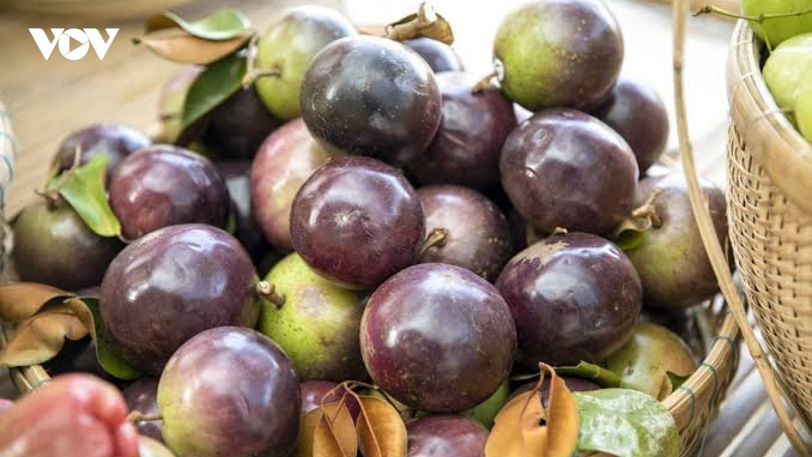 Loại quả được ví như "thuốc bổ tự nhiên" nhưng không phải ai cũng biết