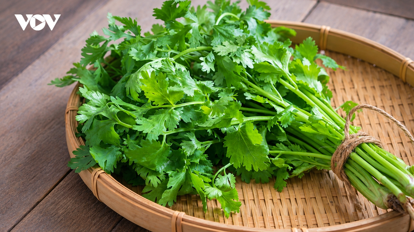 Cây thuốc giá rẻ vừa làm gia vị, vừa bổ dưỡng từ trong ra ngoài