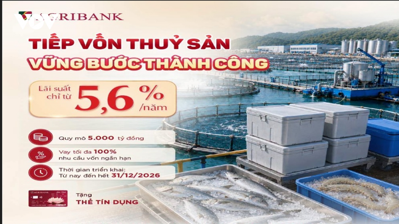 Agribank Quảng Ngãi dành gần 14.000 tỷ đồng cho vay tam nông, đạt 85% tổng dư nợ
