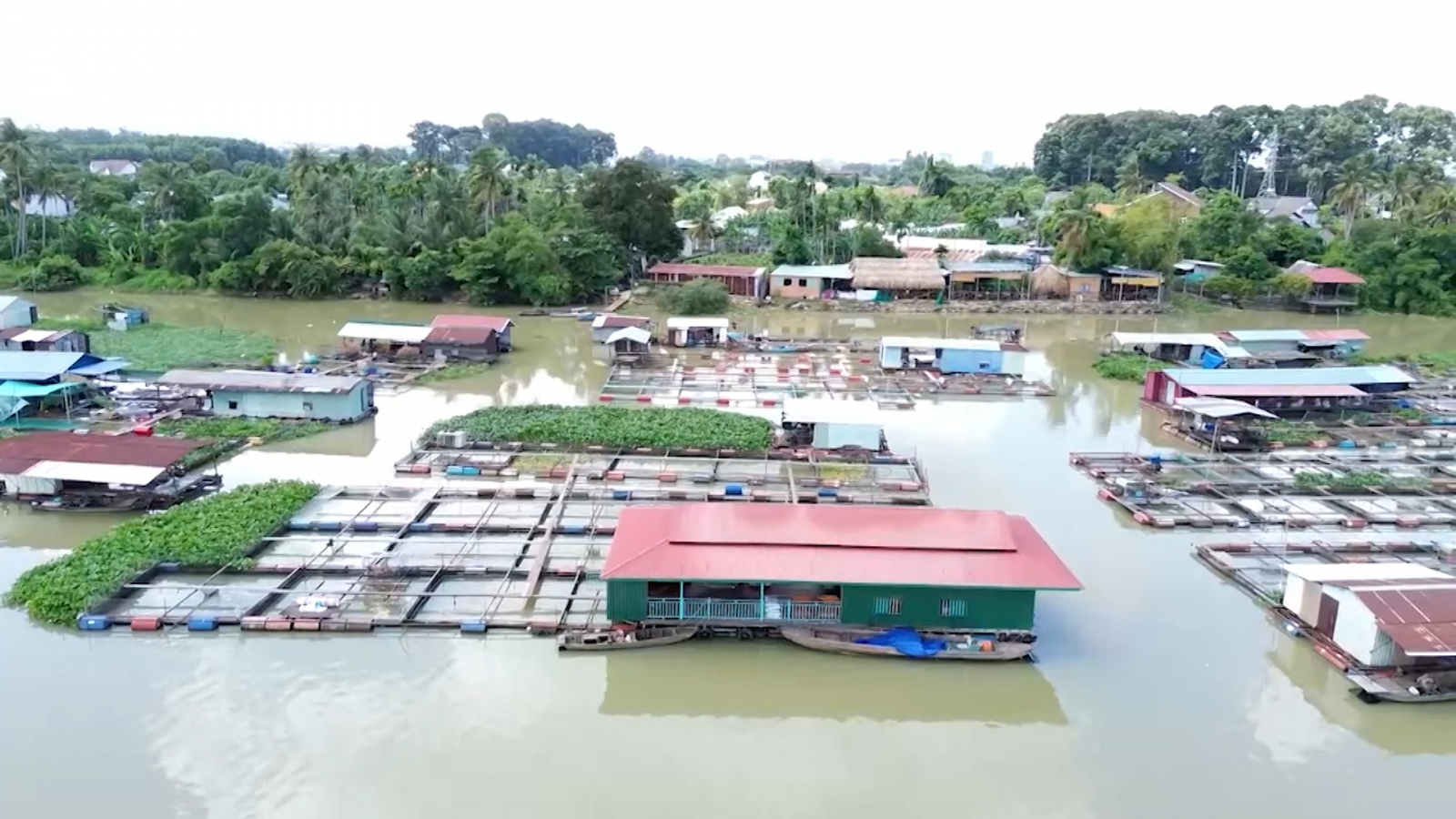 Người dân làng bè Tân Mai ở Đồng Nai lo lắng trước thời điểm di dời