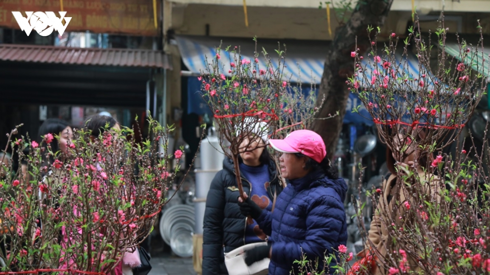 Bộ Nội vụ đề xuất 2 phương án nghỉ Tết Nguyên đán Đinh Mùi 2027