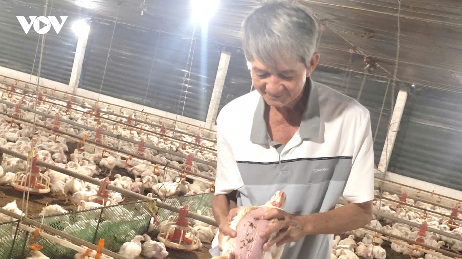 Một nông dân tỉnh Đồng Tháp làm giàu từ nuôi gà trong "phòng lạnh"